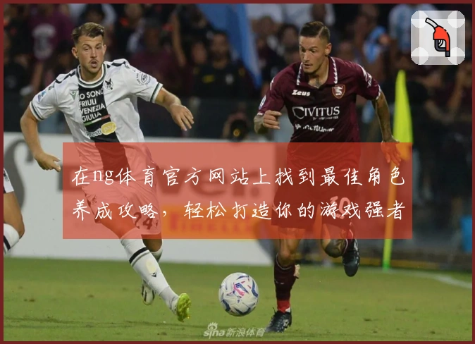 在ng体育官方网站上找到最佳角色养成攻略，轻松打造你的游戏强者之路！